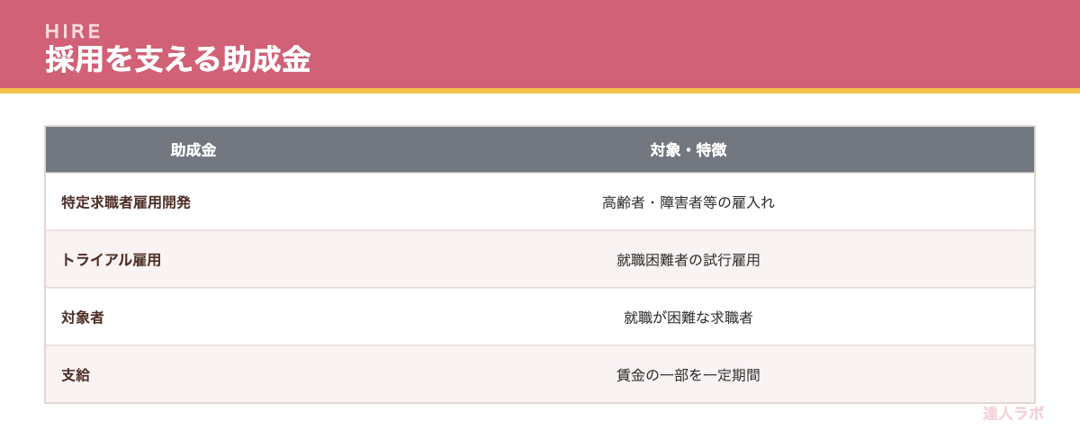 採用を支える助成金を示す表（達人ラボ）